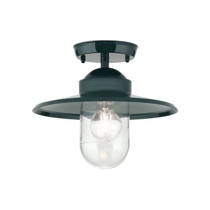Lampadario da esterno EDWARD 1xE27/60W/230V IP44 verde