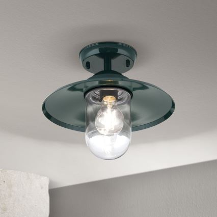 Outdoor-Anbauleuchte EDWARD 1xE27/60W/230V IP44 grün