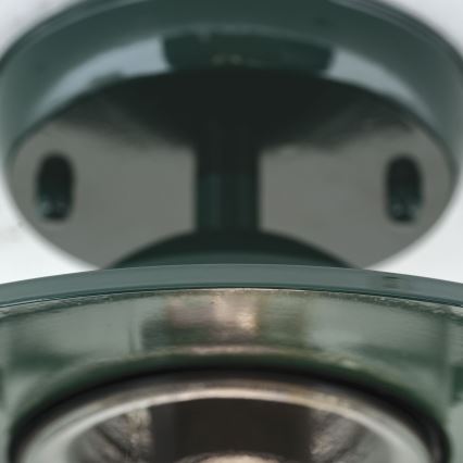 Outdoor-Anbauleuchte EDWARD 1xE27/60W/230V IP44 grün