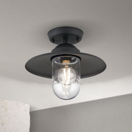 Outdoor-Anbauleuchte EDWARD 1xE27/60W/230V IP44 schwarz