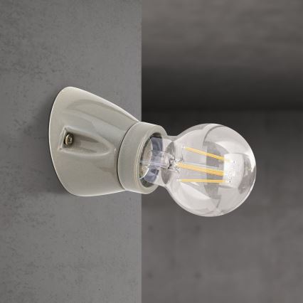 Lampada da parete FROST 1xE27/60W/230V grigia