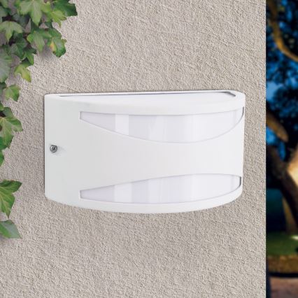 Applique murale d'extérieur SHELL 1xE27/40W/230V IP54 blanche
