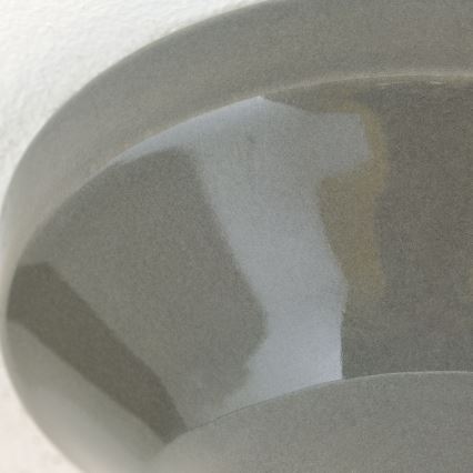 Deckenleuchte FROST 1xE27/60W/230V grau