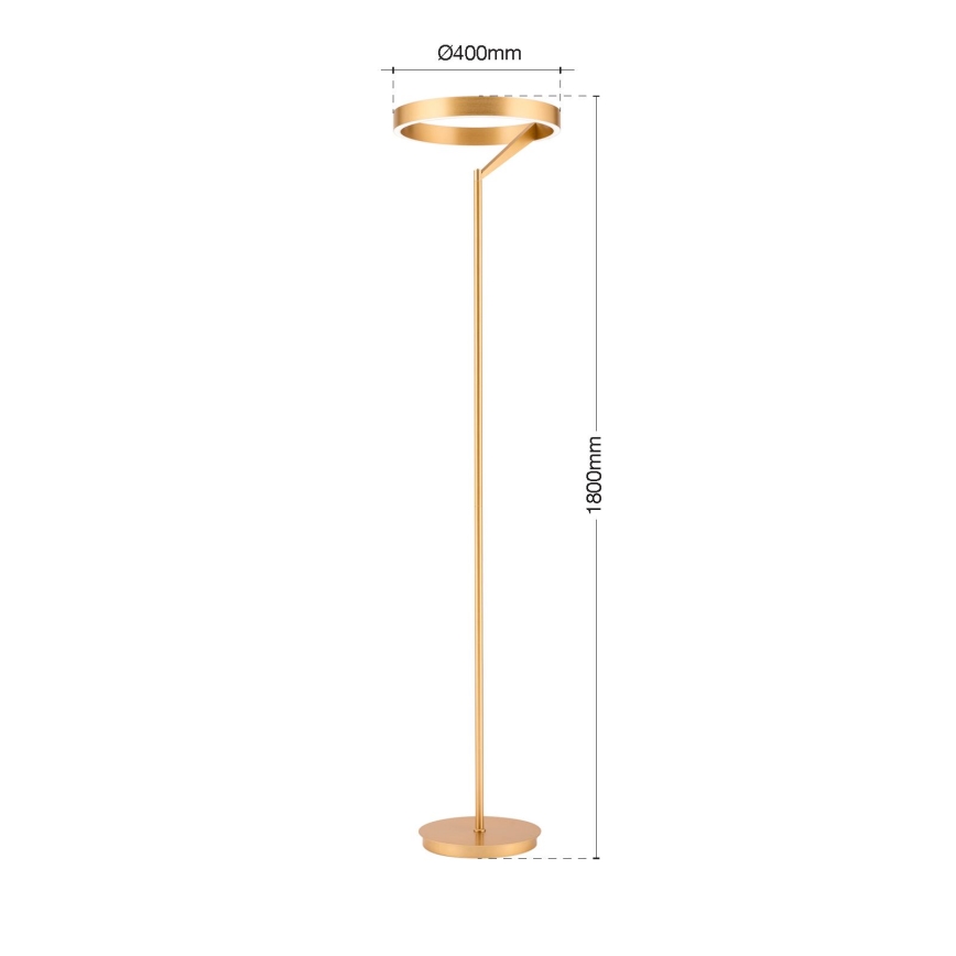 LED-dimmbare Stehleuchte KOLK LED/40W/230V 2700/4000K goldfarben