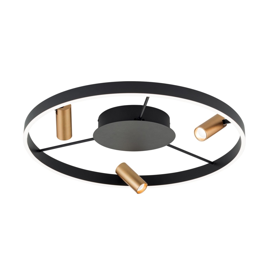 Plafonnier à intensité variable BERLIN LED/50W/230V noir/doré
