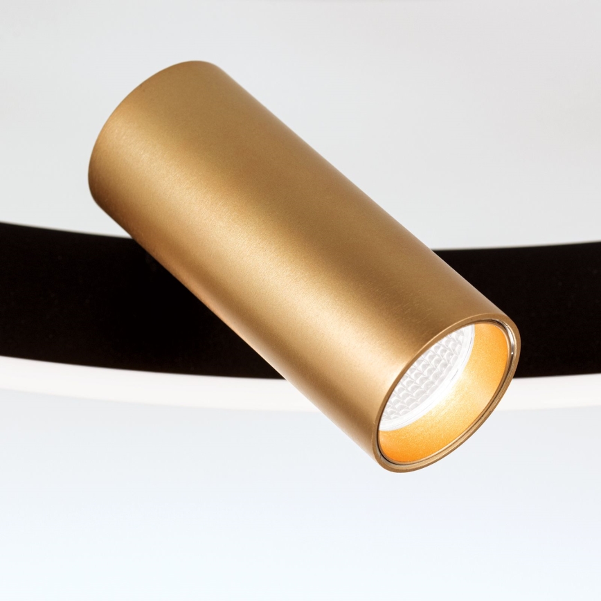Plafonnier à intensité variable BERLIN LED/50W/230V noir/doré