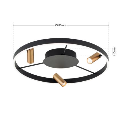 Plafonnier à intensité variable BERLIN LED/50W/230V noir/doré