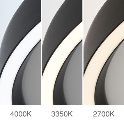 Lampada da soffitto dimmerabile LED MASCA LED/36W/230V 2700/3350/4000K diam. 40 cm nero