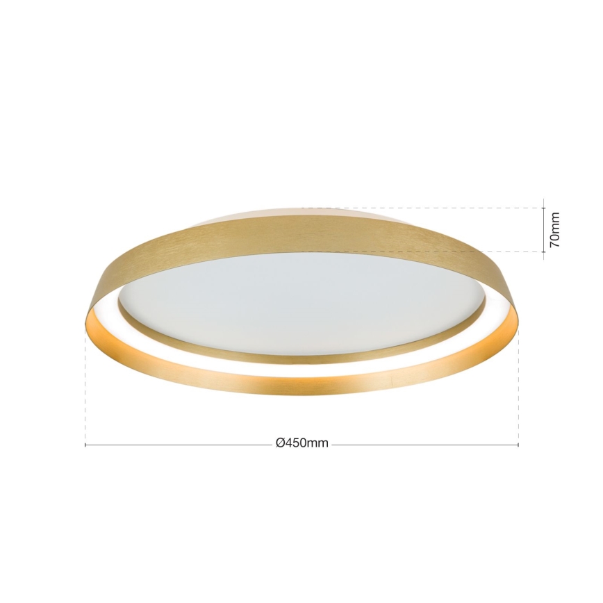 Plafoniera LED dimmerabile MANTA LED/38W/230V 2700/3000/4000K diam. 45 cm oro