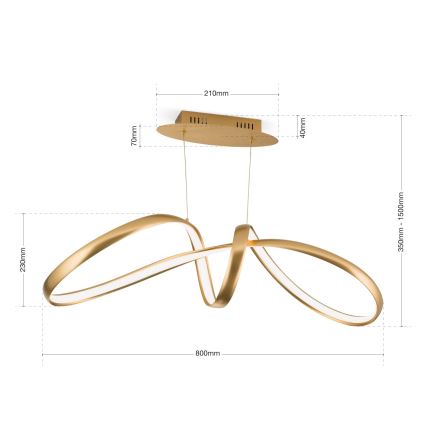 Lampadario dimmerabile a LED su cavo CIRCUS LED/36W/230V oro