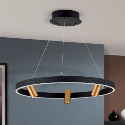 Lampadario dimmerabile a LED su cavo BERLIN LED/50W/230V nero/oro