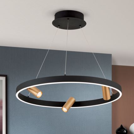 Suspension LED dimmable sur câble BERLIN LED/50W/230V noir/doré
