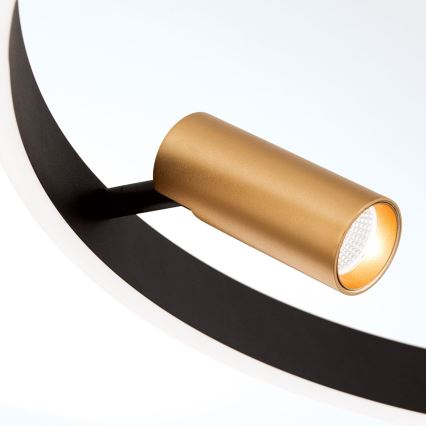 Suspension LED dimmable sur câble BERLIN LED/50W/230V noir/doré
