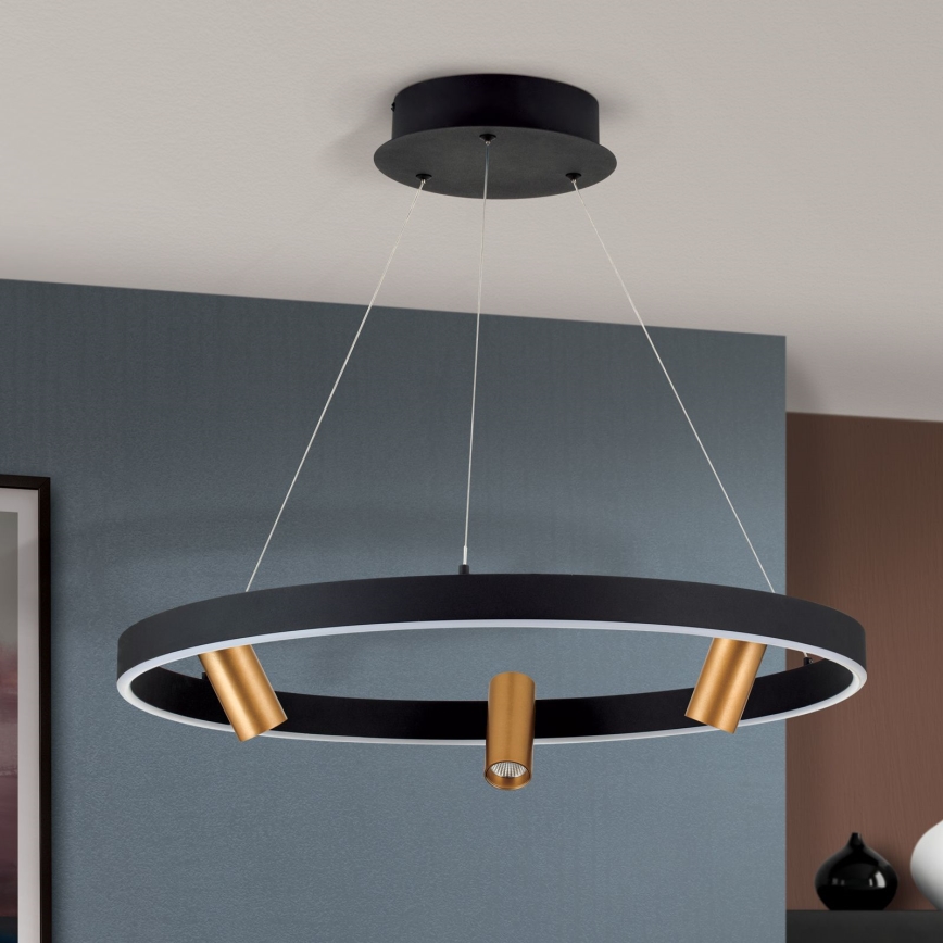 Suspension filaire à intensité variable BERLIN LED/50W/230V noir/doré