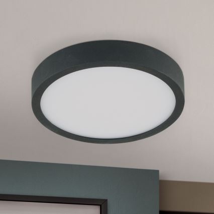 LED-Deckenleuchte BULLY LED/12W/230V d 14 cm schwarz