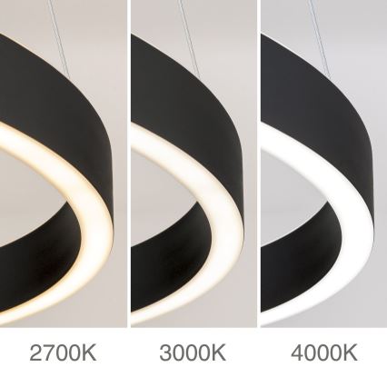 LED-dimmbare Pendelleuchte an Seil KOLK LED/60W/230V 2700/3000/4000K Ø 60 cm schwarz