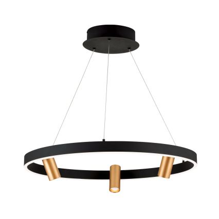 LED dimmbare Hängeleuchte an Kabel BERLIN LED/50W/230V schwarz/gold