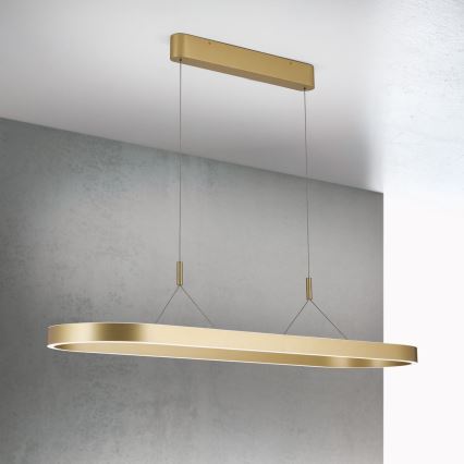 LED-Pendelleuchte mit Seilabhängung CARRARA LED/80W/230V 2700/3000/4000K goldfarben