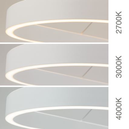 Suspension LED sur câble CARRARA LED/80W/230V 2700/3000/4000K blanc