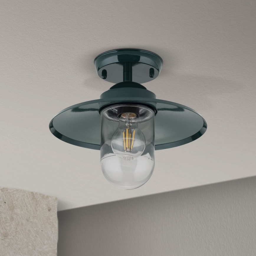 Outdoor-Anbauleuchte EDWARD 1xE27/60W/230V IP44 grün