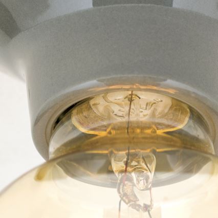 Plafonnier FROST 1xE27/60W/230V gris