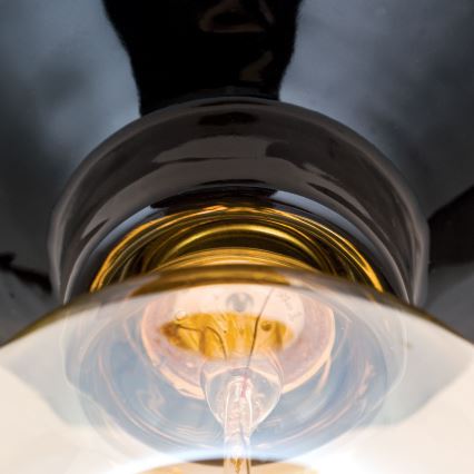 Plafonnier FROST 1xE27/60W/230V noir