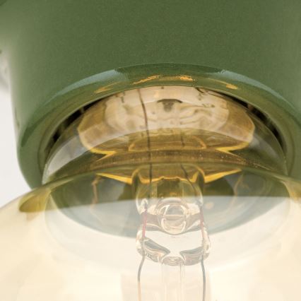 Plafonnier FROST 1xE27/60W/230V vert