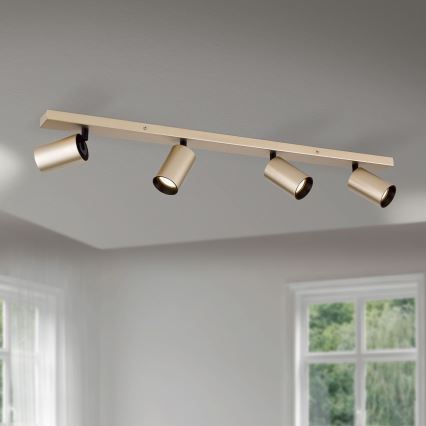 Spot orientable SEAN 4xGU10/13W/230V doré