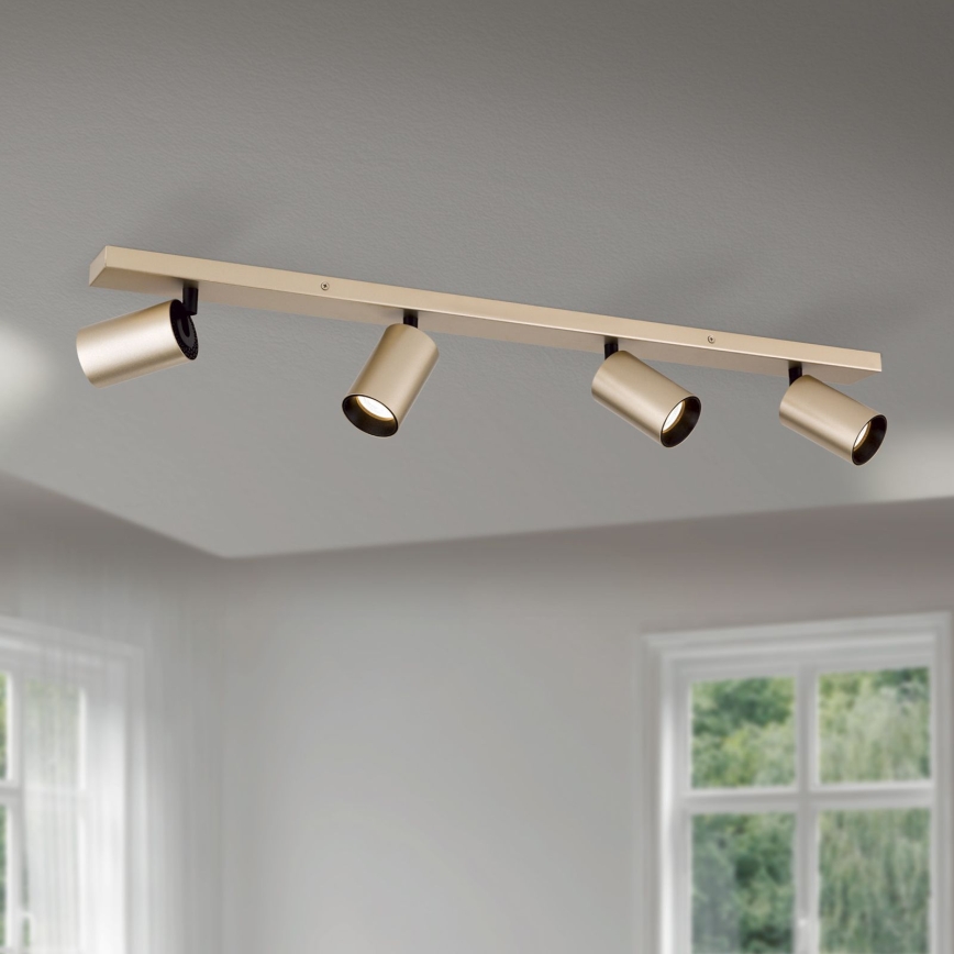 Spot orientable SEAN 4xGU10/13W/230V doré