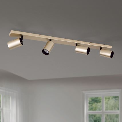 Spot orientable SEAN 4xGU10/13W/230V doré
