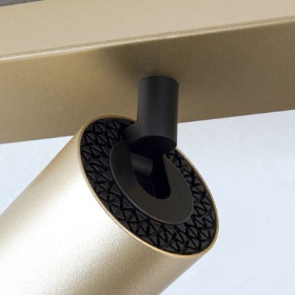 Spot orientable SEAN 4xGU10/13W/230V doré