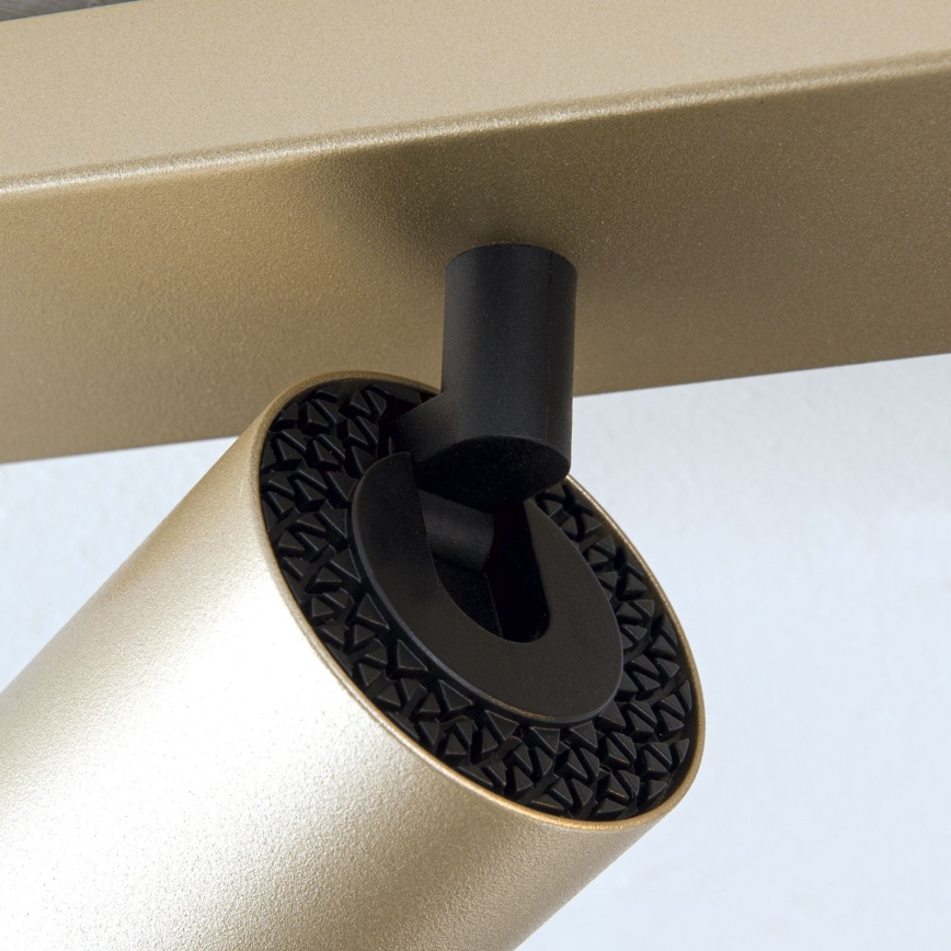 Spot orientable SEAN 4xGU10/13W/230V doré