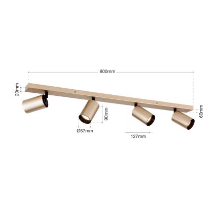 Spot orientable SEAN 4xGU10/13W/230V doré