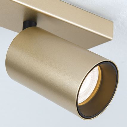 Spotleuchte SEAN 4xGU10/13W/230V goldfarben