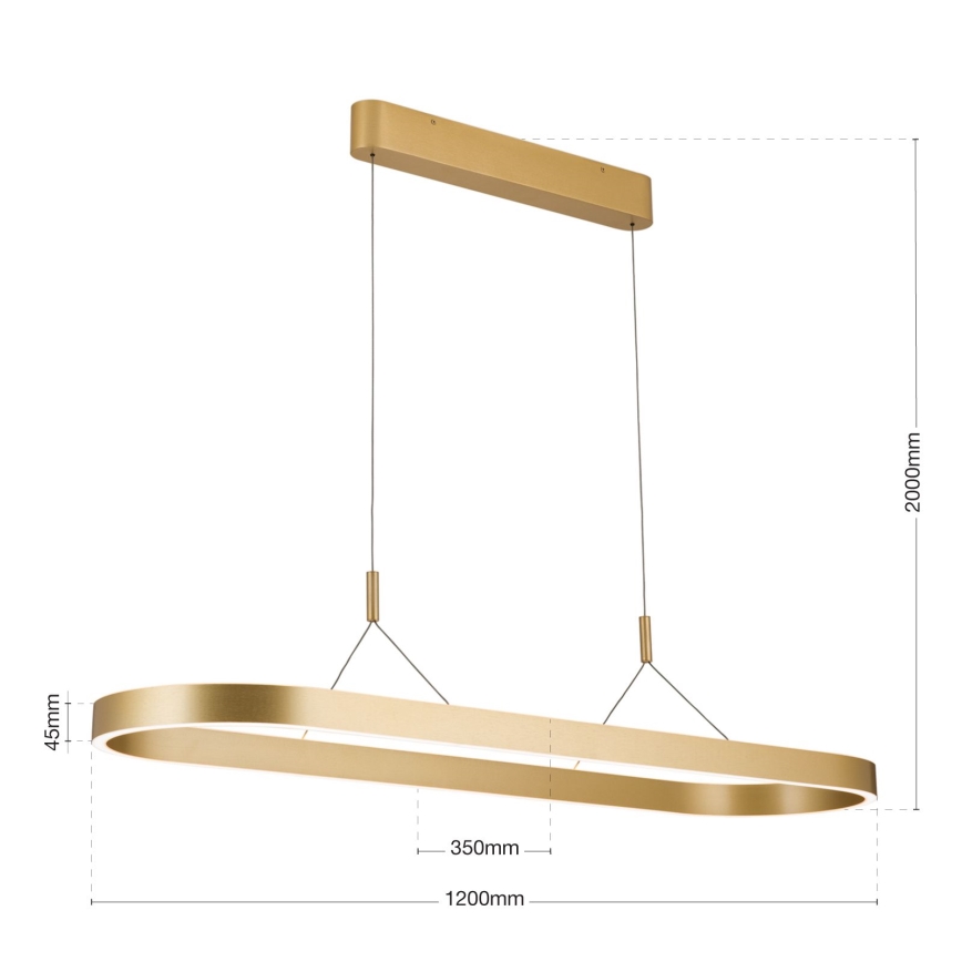 Suspension LED sur câble CARRARA LED/80W/230V 2700/3000/4000K dorée