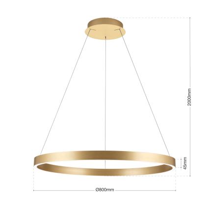 Suspension LED dimmable sur câble KOLK LED/80W/230V 2700/3000/4000K diam. 80 cm dorée