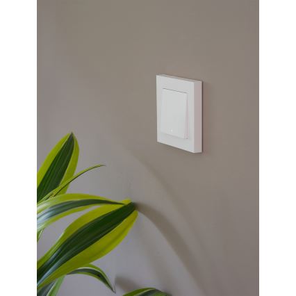 Osram - Interrupteur 1 bouton SMART+ MATTER 230V Wi-Fi
