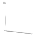 Osram - Lampada a sospensione dimmerabile a LED su cavo OFFICE LINE LED/40W/230V 4000K 120 cm bianco