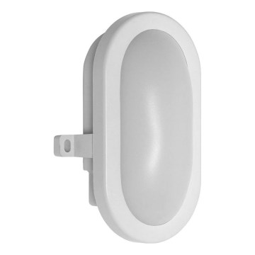 Osram - Lampada da parete per esterni BULKHEAD LED/6W/230V IP54, bianca