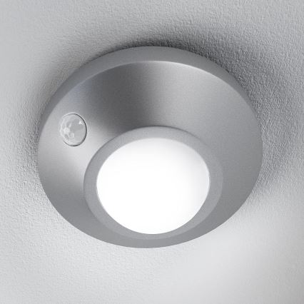 Osram - Luce notturna LED con sensore NIGHTLUX LED/2W/3xAA argento