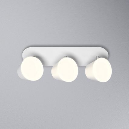 Osram - LED-Badezimmer-Spot SPOT 3xLED/7W/230V IP44 3000/4000K