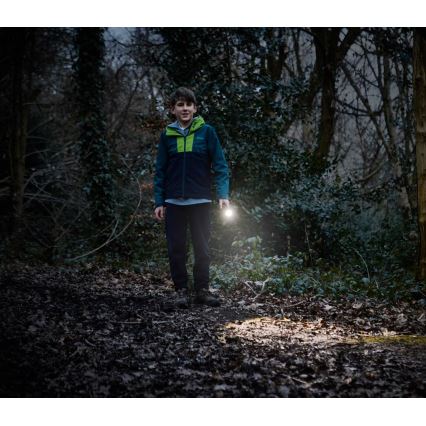 Osram - LED-dimmbare Taschenlampe LEDINSPECT TORCH 350 ESSENTIAL LED/4W/2xAAA IP44