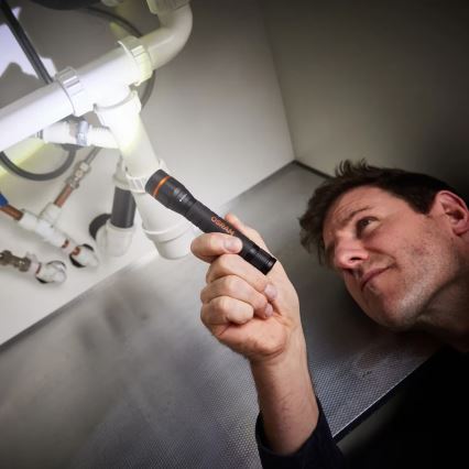 Osram - Lampe torche LED dimmable LEDINSPECT TORCH 350 ESSENTIAL LED/4W/2xAAA IP44