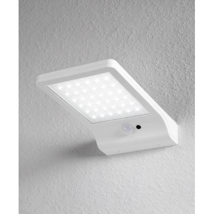 Osram - LED-Solar-Wandleuchte mit Sensor DOORLED LED/3W/3,3V 2000 mAh IP44 weiß