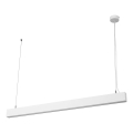 Osram - Suspension LED dimmable sur câble OFFICE LINE LED/42W/230V 4000K 112,6 cm blanc