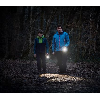 Osram - Torcia LED dimmerabile LEDINSPECT TORCH 450 ESSENTIAL LED/6W/3xAAA IP44