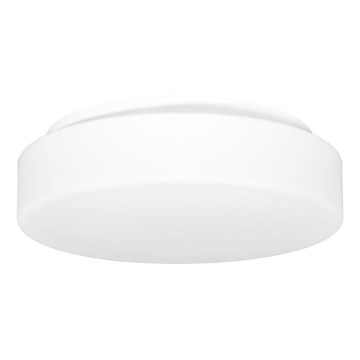 Outdoor-Deckenleuchte HECTOR 1xE27/60W/230V d 30 cm IP44 opal weiß