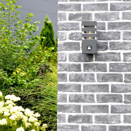 Outdoor-Wandleuchte mit Sensor TEKSAS 1xE27/12W/230V IP44 Graphit