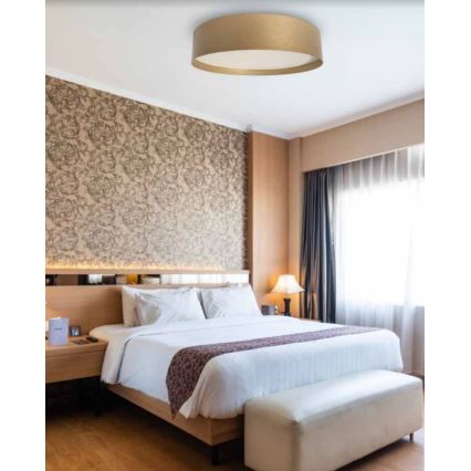 Plafoniera LED SOFIE LED/50W/230V