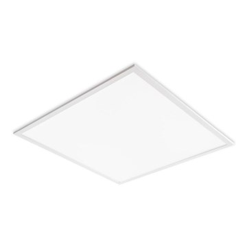 Panneau LED pour faux plafond DAVRO LED/40W/230V 4000K 59,5x59,5 cm blanc
